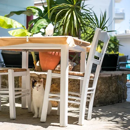 Perla Marina 3* Ialysos (Rhodes)