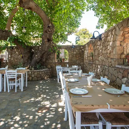 Perla Marina 4* Ialysos (Rhodes)