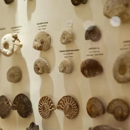 Pensiune Perla Marina Ialysos (Rhodes)